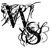 :iconwyvernspur: