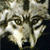:iconwyvernwraith: