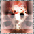 :iconwza9k: