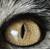 :iconwzys-corner: