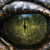 :iconx0mbirapt0r: