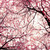 :iconx182x41x:
