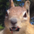 :iconx3haloed: