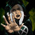 :iconx707: