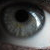 :iconx8holly8x:
