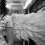 :iconx-angelartist-x: