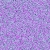 :iconx-biiscuiit-x3: