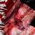 :iconx-bunnybaby: