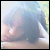 :iconx-citylimits: