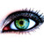 :iconx-domia-x: