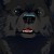 :iconx-dragon-emerald-x: