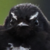 :iconx-ego-box: