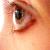 :iconx-elvin-girl-x: