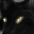 :iconx-hinote-x:
