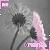 :iconx-la-ptitefee-x: