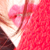 :iconx-lain-x: