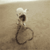 :iconx-lcartoonoangele-x: