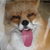 :iconx-miss-tripp-x: