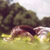 :iconx-myapocalypse:
