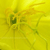 :iconx-ph0to:
