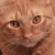 :iconx-purplesky: