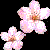 :iconx-sakurairo-x: