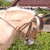 :iconx-sanneee: