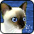 :iconx-seraphii-x: