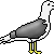 :iconx-shokora-x: