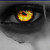 :iconx-ty19: