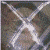 :iconx-wol-x: