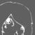 :iconx-x-charlie-x-x: