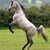 :iconx-x-vixi-x-x: