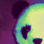:iconx-xiongmao: