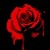 :iconx-xx-dani-xx-x: