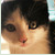 :iconxaelle39: