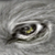 :iconxaethefae: