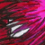 :iconxaliayer: