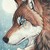:iconxalpahxwolfx: