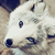 :iconxamorphousx: