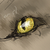 :iconxanaduis: