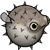 :iconxanaplayer: