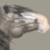 :iconxanara123: