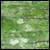 :iconxanodesign:
