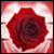 :iconXaphalys:
