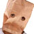 :iconxaphazelx:
