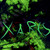:iconxariskaipalixaris: