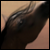 :iconxarmellex: