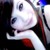 :iconxaroradonx: