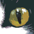 :iconxatinrei: